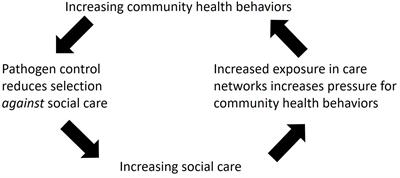 Why Care: Complex Evolutionary History of Human Healthcare Networks